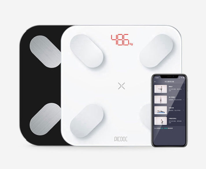 Mini intelligent body fat scale